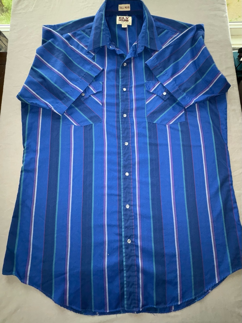 Ely Cattleman Blue Striped Western Shirt